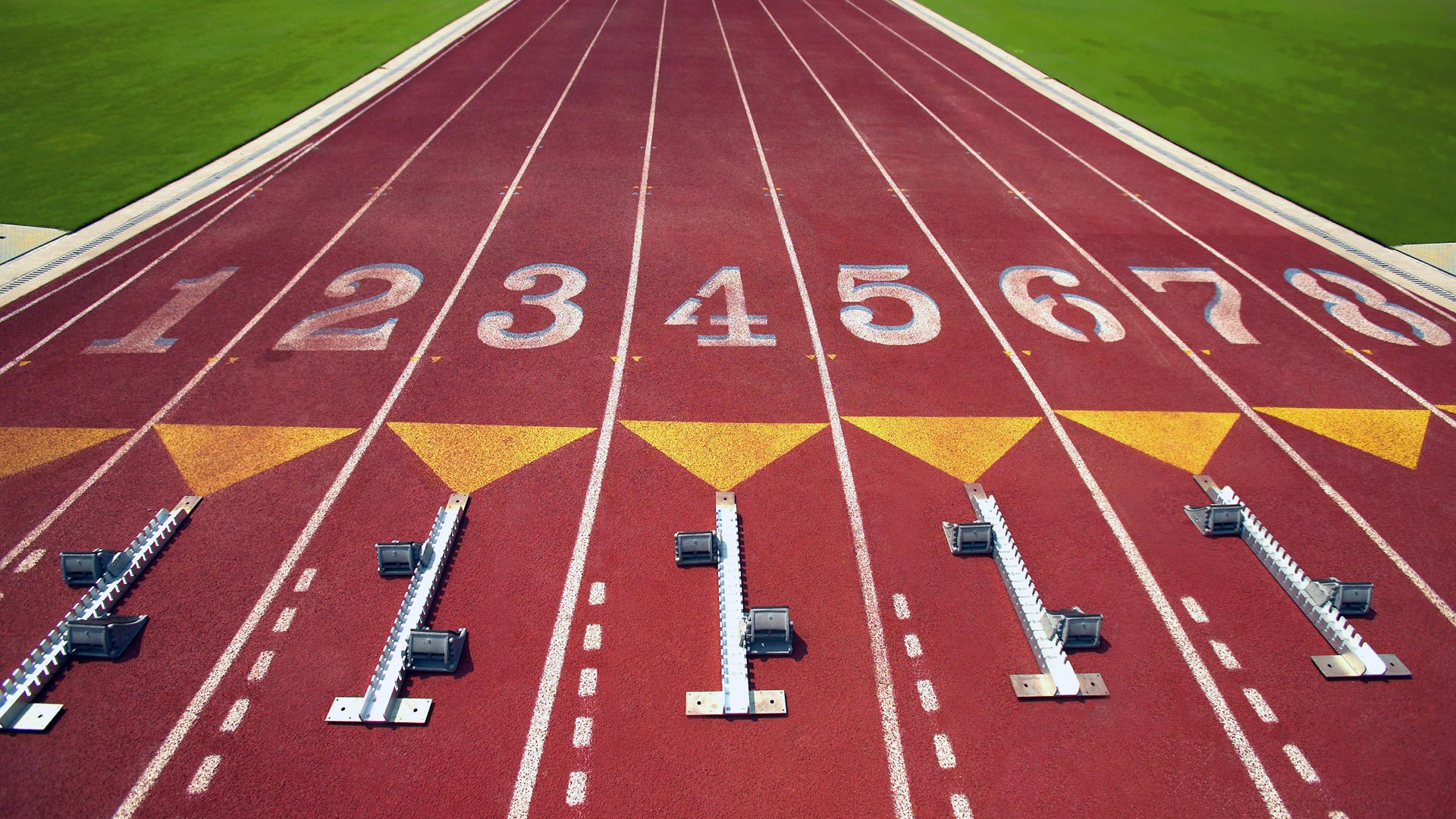 马术与狗：马场里的牧羊犬，马术场的马是什么品种